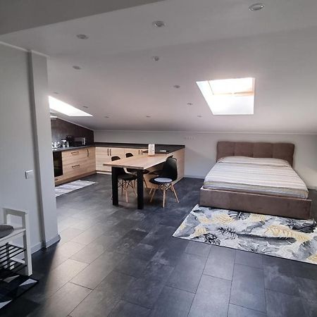 Mansarda Apartment Камианец-Подилский Екстериор снимка