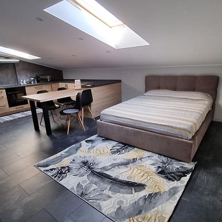 Mansarda Apartment Камианец-Подилский Екстериор снимка