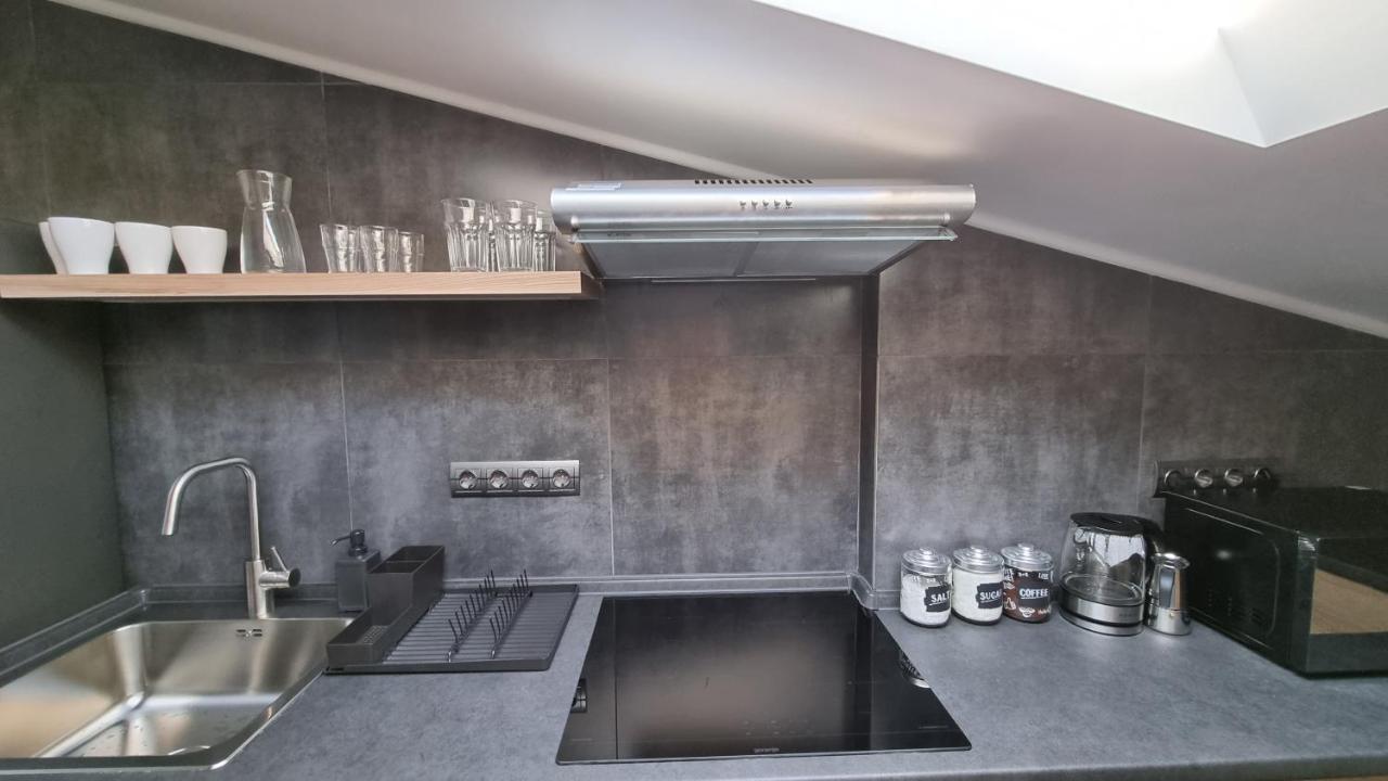 Mansarda Apartment Камианец-Подилский Екстериор снимка