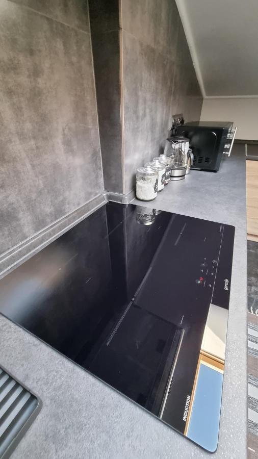 Mansarda Apartment Камианец-Подилский Екстериор снимка
