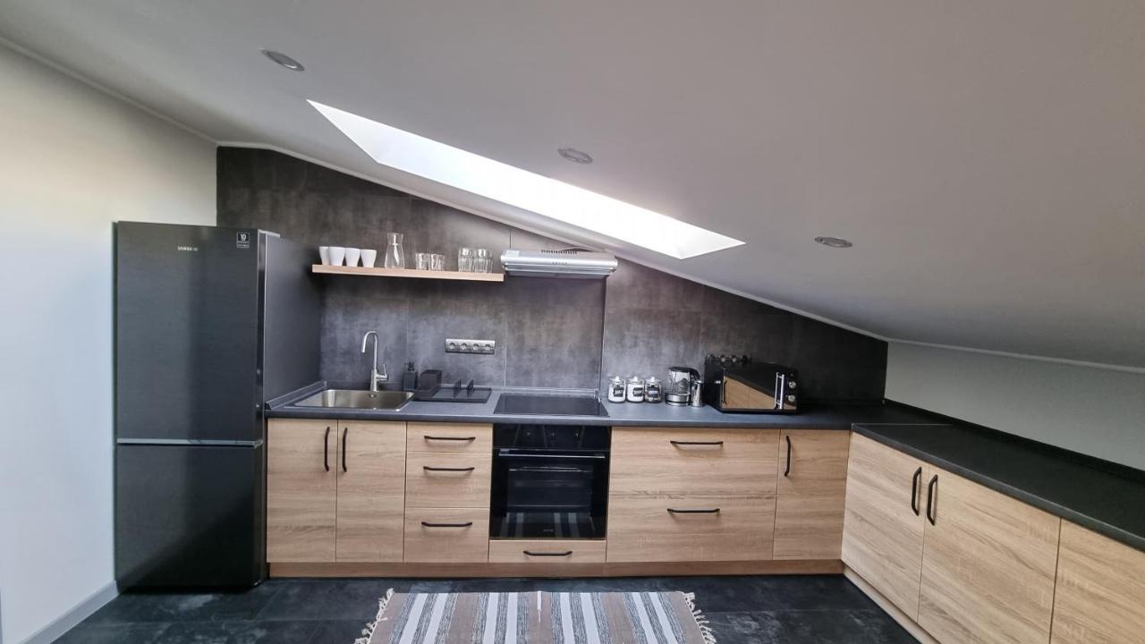 Mansarda Apartment Камианец-Подилский Екстериор снимка