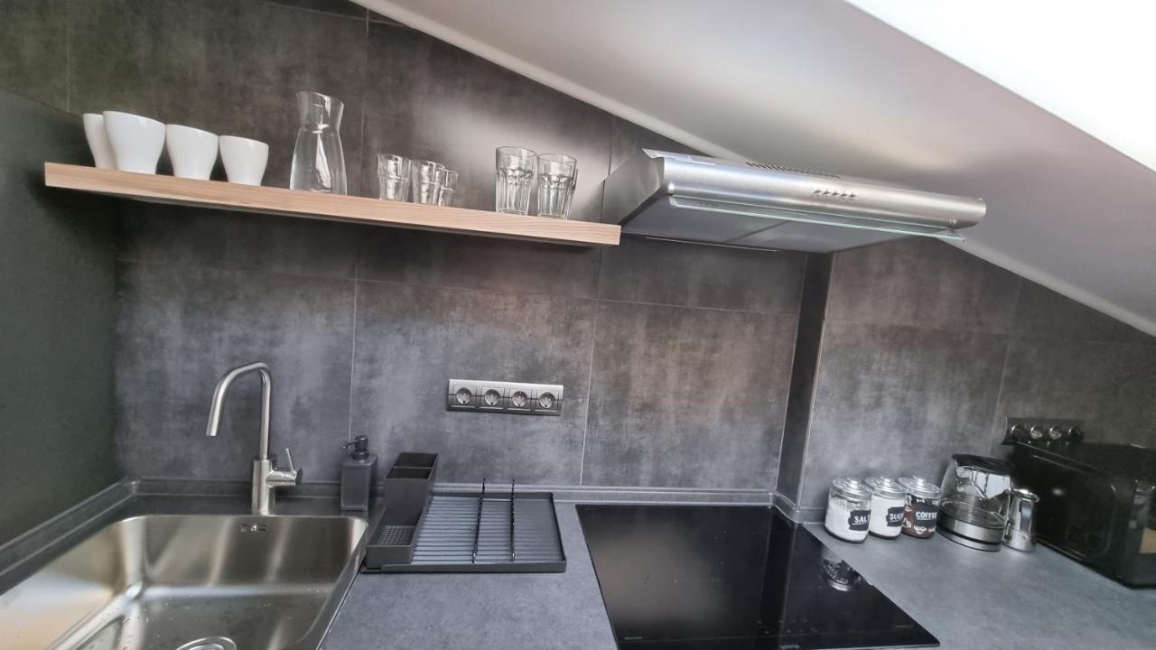 Mansarda Apartment Камианец-Подилский Екстериор снимка