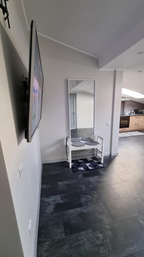 Mansarda Apartment Камианец-Подилский Екстериор снимка
