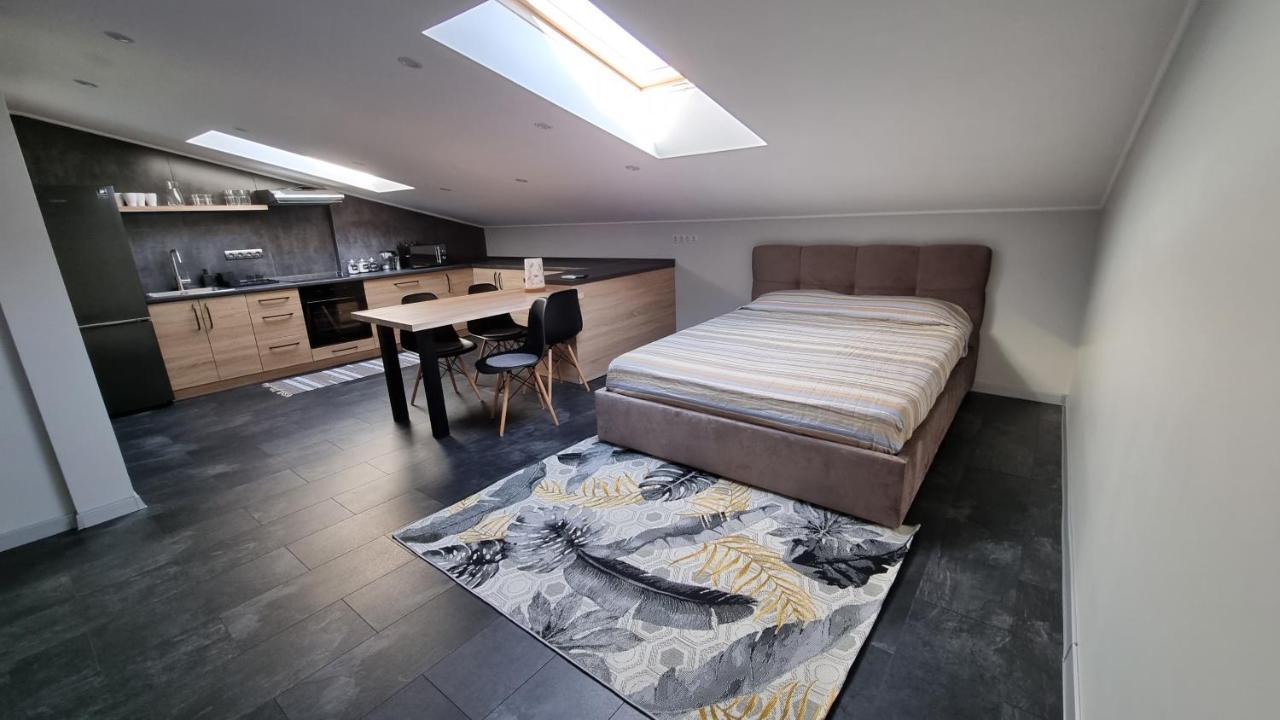 Mansarda Apartment Камианец-Подилский Екстериор снимка
